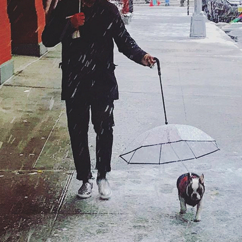 Cat or Dog Transparent Umbrella With Traction Chain Removable Umbrella