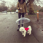 Cat or Dog Transparent Umbrella With Traction Chain Removable Umbrella