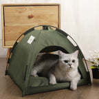 Feline Cat Tent Rugged and Breathable with Cozy Soft Padding Inside