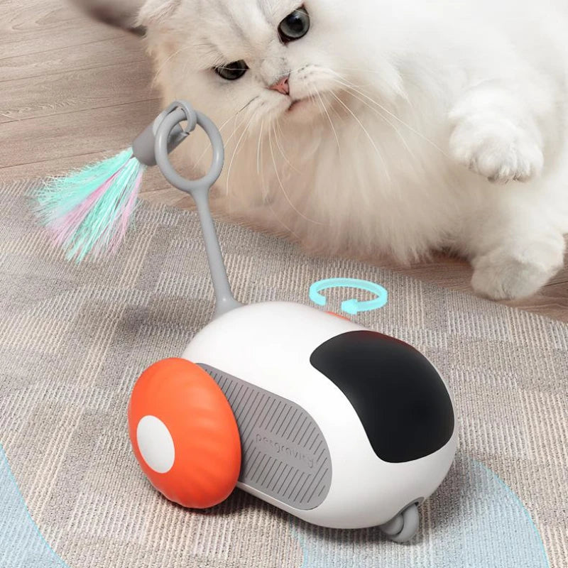 Electronic Cat Toys Are Here That Charge with  One Click of its USB and Add On Feathers and Any Strings And More