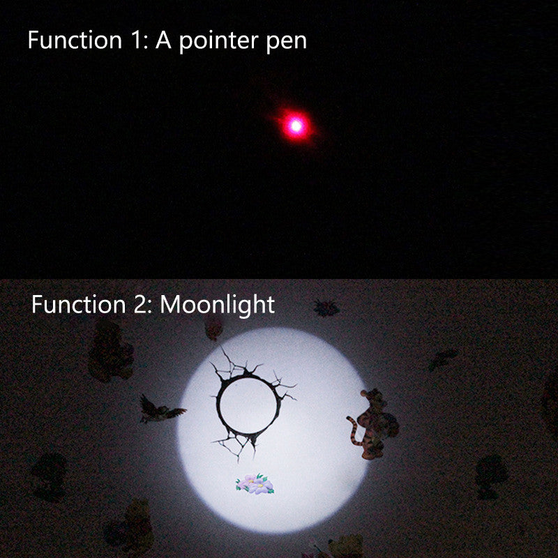 Laser Cat Pointers