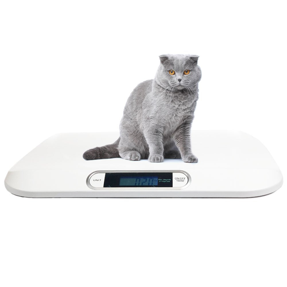 Electronic Weight Scale Digital Electronic Display Portable Dog Cat Scale, Weighs Pet Food, Up to 44 Pounds Capacity for Puppy, Small Animal, Kitten, Rabbit, Tortoise