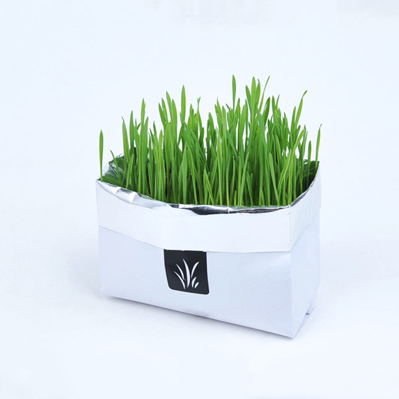 Soilless Organic Cat Grass