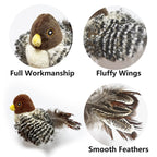 Chirping Bird That Flaps Its Wings Too!