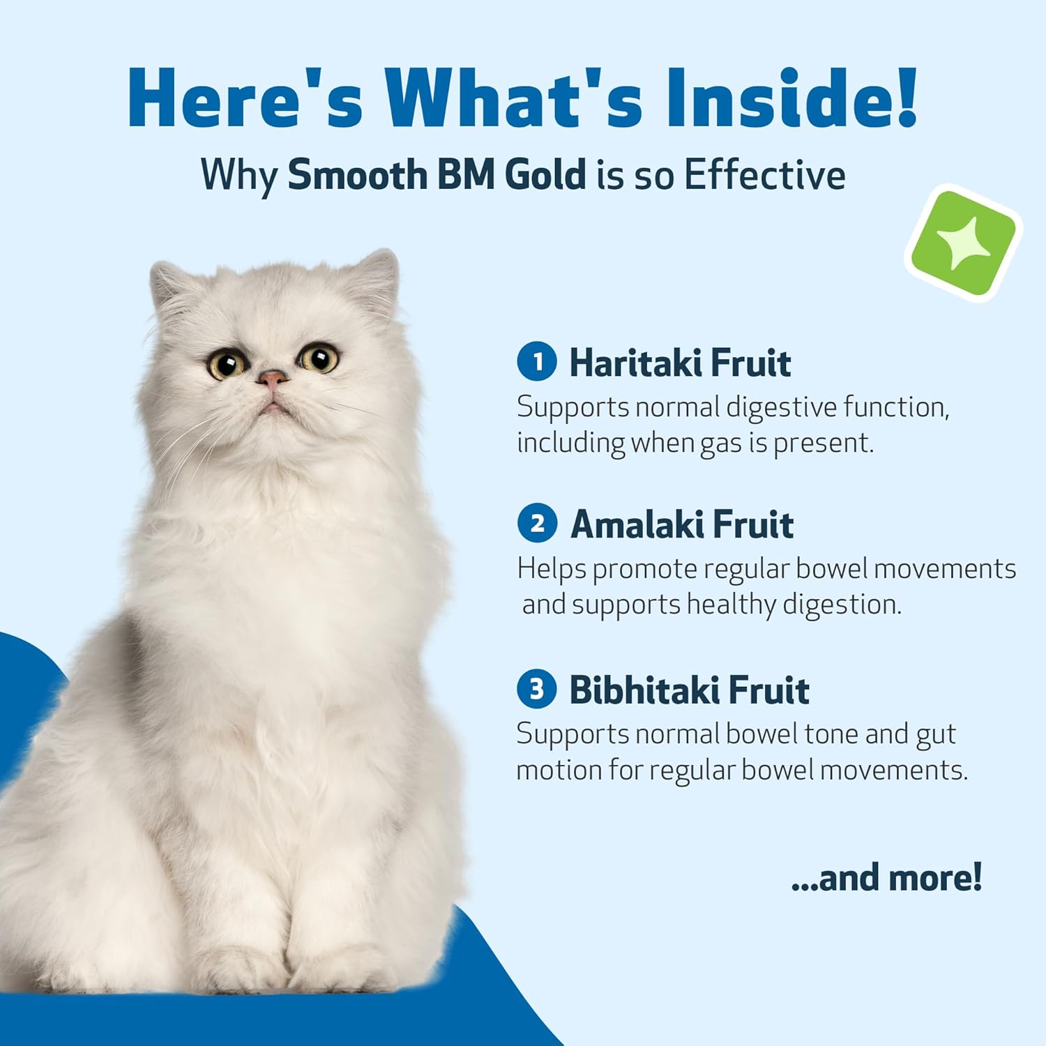 Pet Wellbeing - Smooth BM Gold for Cats - Natural Constipation Support for Felines - 2oz (59ml)