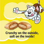 TEMPTATIONS Cat Treats, Tasty Chicken Flavour, 454g Tub