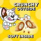 TEMPTATIONS Cat Treats, Tasty Chicken Flavour, 454g Tub
