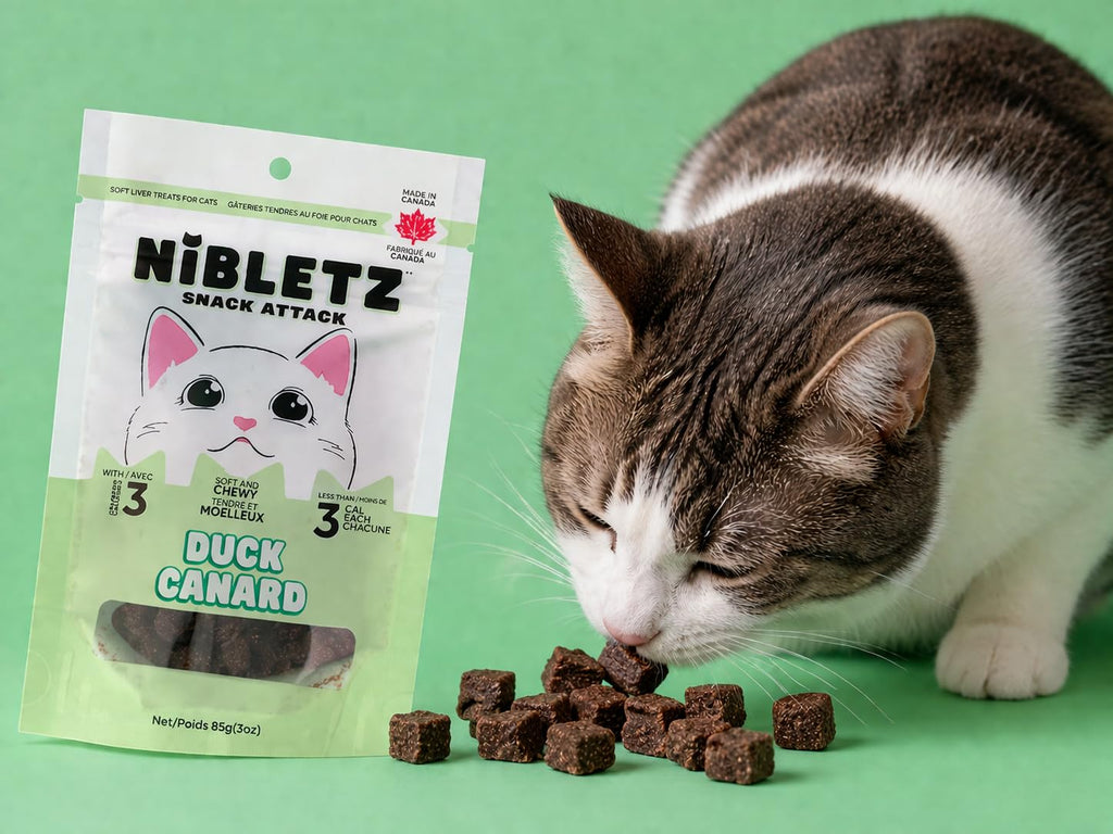 Nibletz Cat Treats, Soft Liver Treats for Cats with Omega 3 & Less Than 3 Calories per Treat 3 oz Bag, Made in Canada (Rabbit)