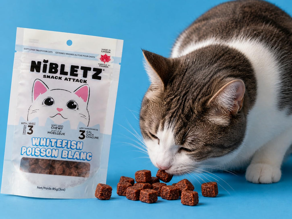 Nibletz Cat Treats, Soft Liver Treats for Cats with Omega 3 & Less Than 3 Calories per Treat 3 oz Bag, Made in Canada (Rabbit)