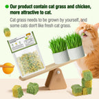 Freezed-Dried Cat Grass Treats, Catgrass Egg Yolk Duo Bites, Cat Dental Treats for Hairball Control and Healthy Coat, Cats Teething Stick (60g, EggYolk)