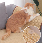 Cat Scratch Board Wear Resistant No Dandruff
