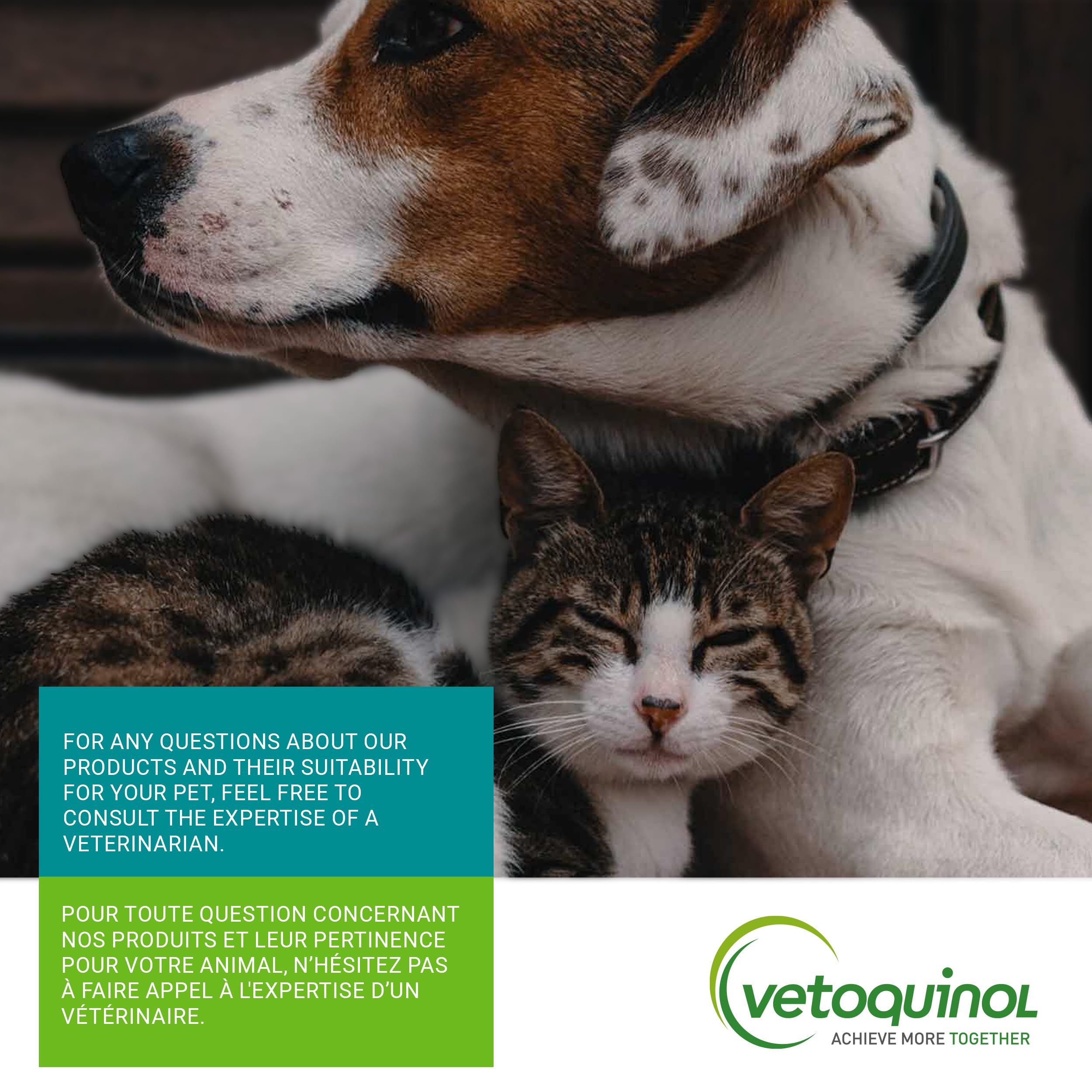 Vetoquinol Hairball-EZ – Veterinary Health Product – Helps Minimize Hairballs in Cats (Tuna)