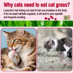 Freezed-Dried Cat Grass Treats, Catgrass Egg Yolk Duo Bites, Cat Dental Treats for Hairball Control and Healthy Coat, Cats Teething Stick (60g, EggYolk)