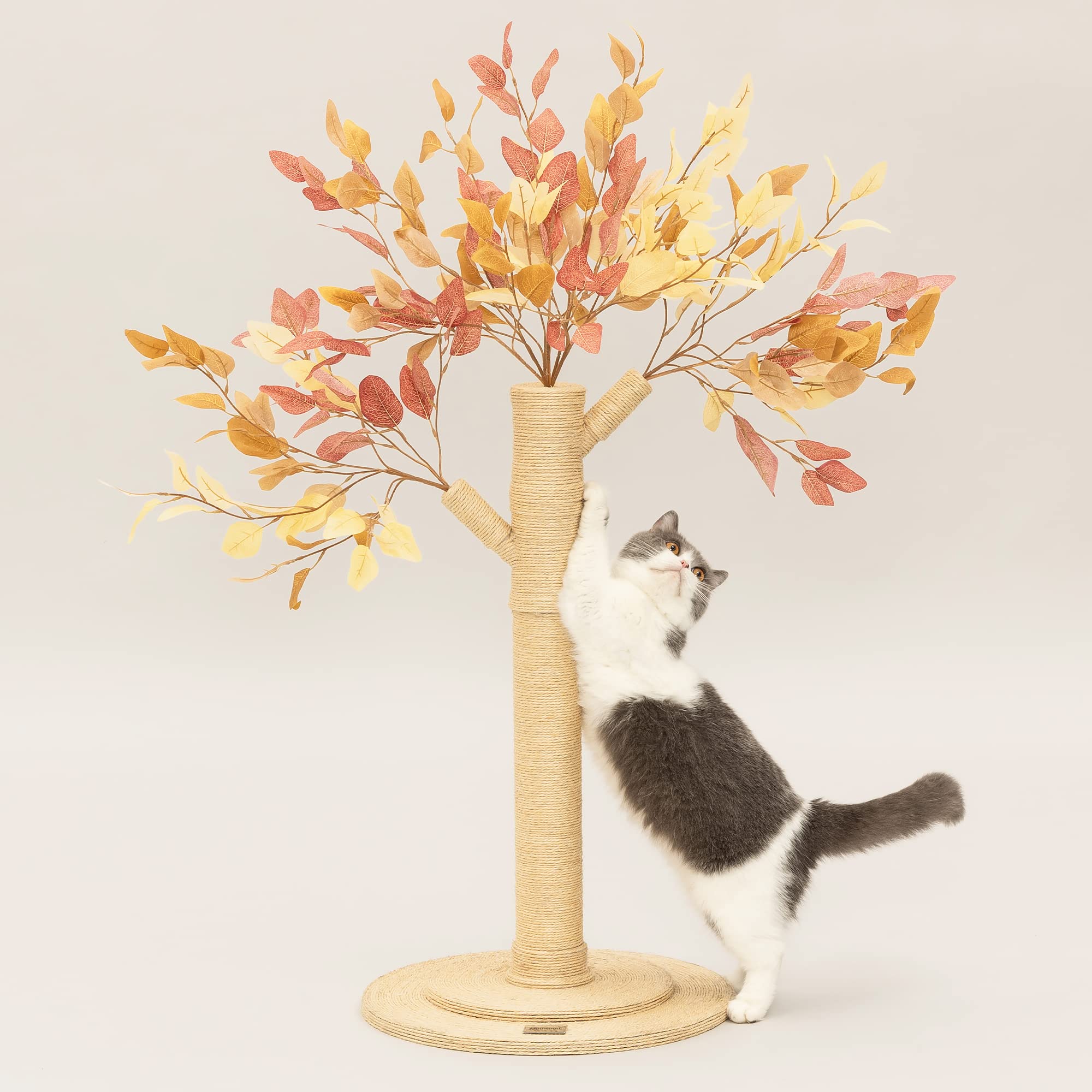 Meowoou Cat Scratching Post with Hanging Ball,33 inch Tall Cute Cat Toys for Indoor Cats with Sisal Rope,Palm Decor Cat Tree Tower for Kitten Scratcher Green