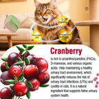Freezed-Dried Cat Grass Treats, Catgrass Egg Yolk Duo Bites, Cat Dental Treats for Hairball Control and Healthy Coat, Cats Teething Stick (60g, EggYolk)