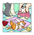 Naughty Cats: Cattitude Coloring Book for Adults and Teens