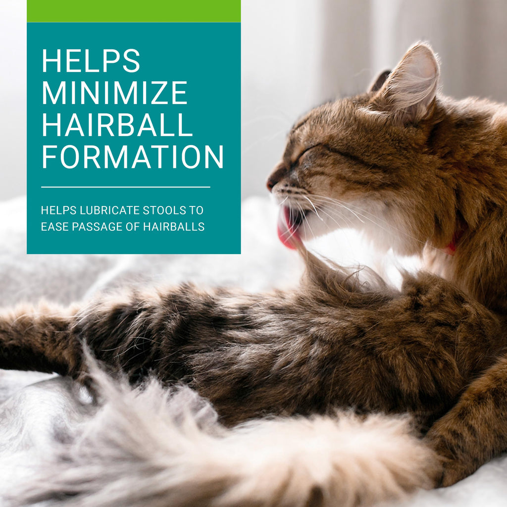 Vetoquinol Hairball-EZ – Veterinary Health Product – Helps Minimize Hairballs in Cats (Tuna)