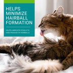 Vetoquinol Hairball-EZ – Veterinary Health Product – Helps Minimize Hairballs in Cats (Tuna)