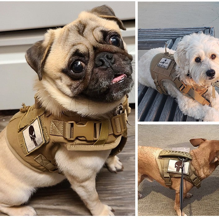 Cat Chest Strap Vest Hand Holding Rope