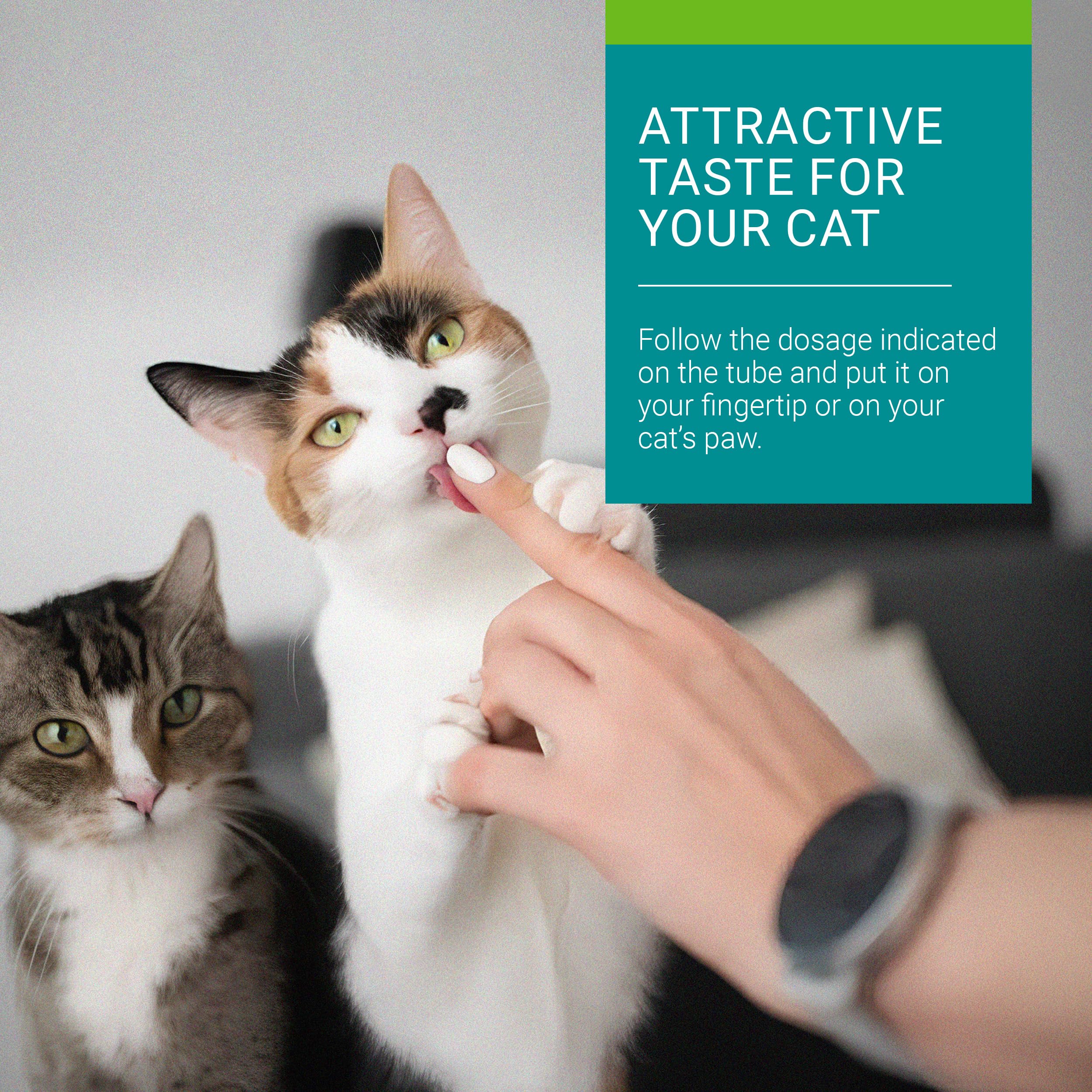 Vetoquinol Hairball-EZ – Veterinary Health Product – Helps Minimize Hairballs in Cats (Tuna)