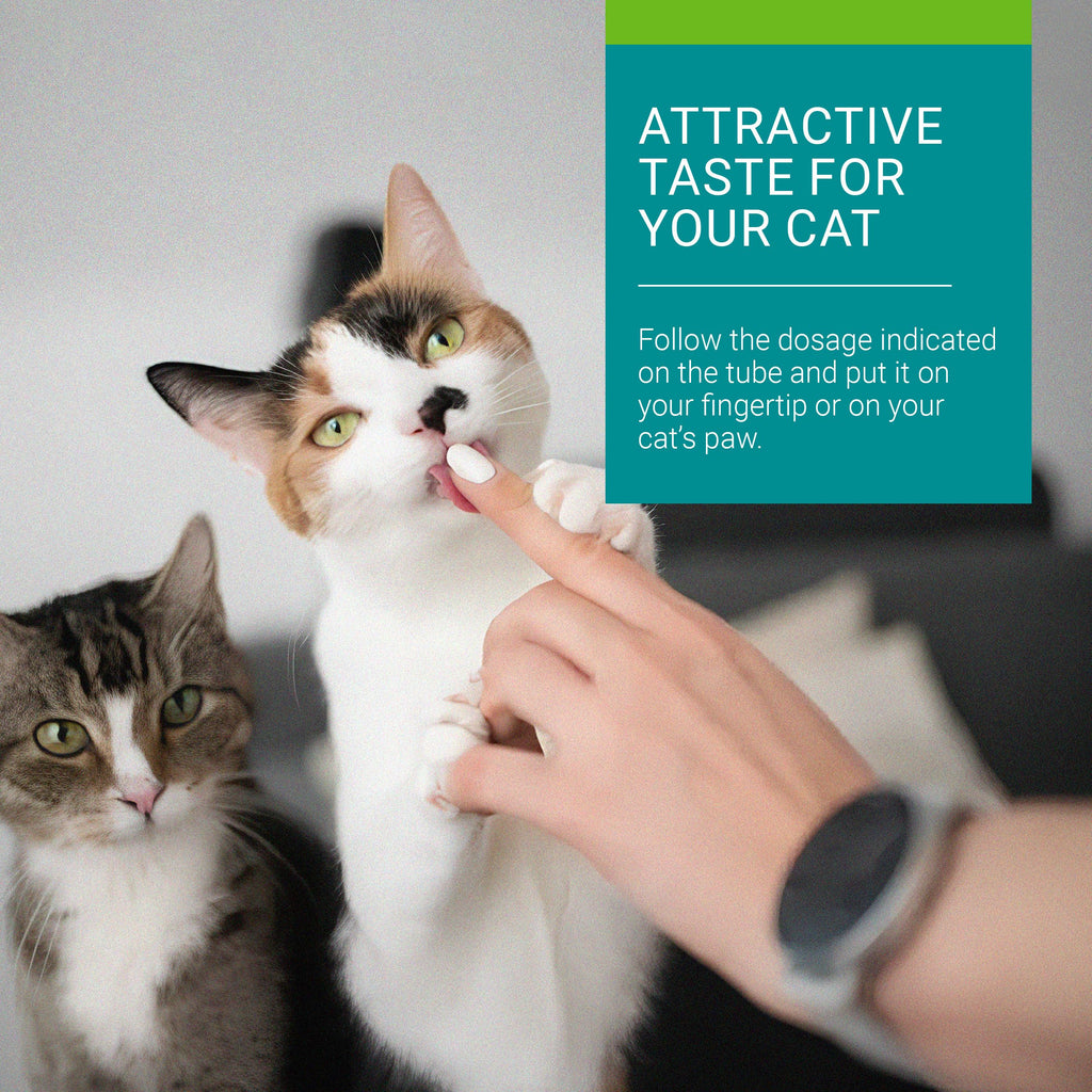 Vetoquinol Hairball-EZ – Veterinary Health Product – Helps Minimize Hairballs in Cats (Tuna)