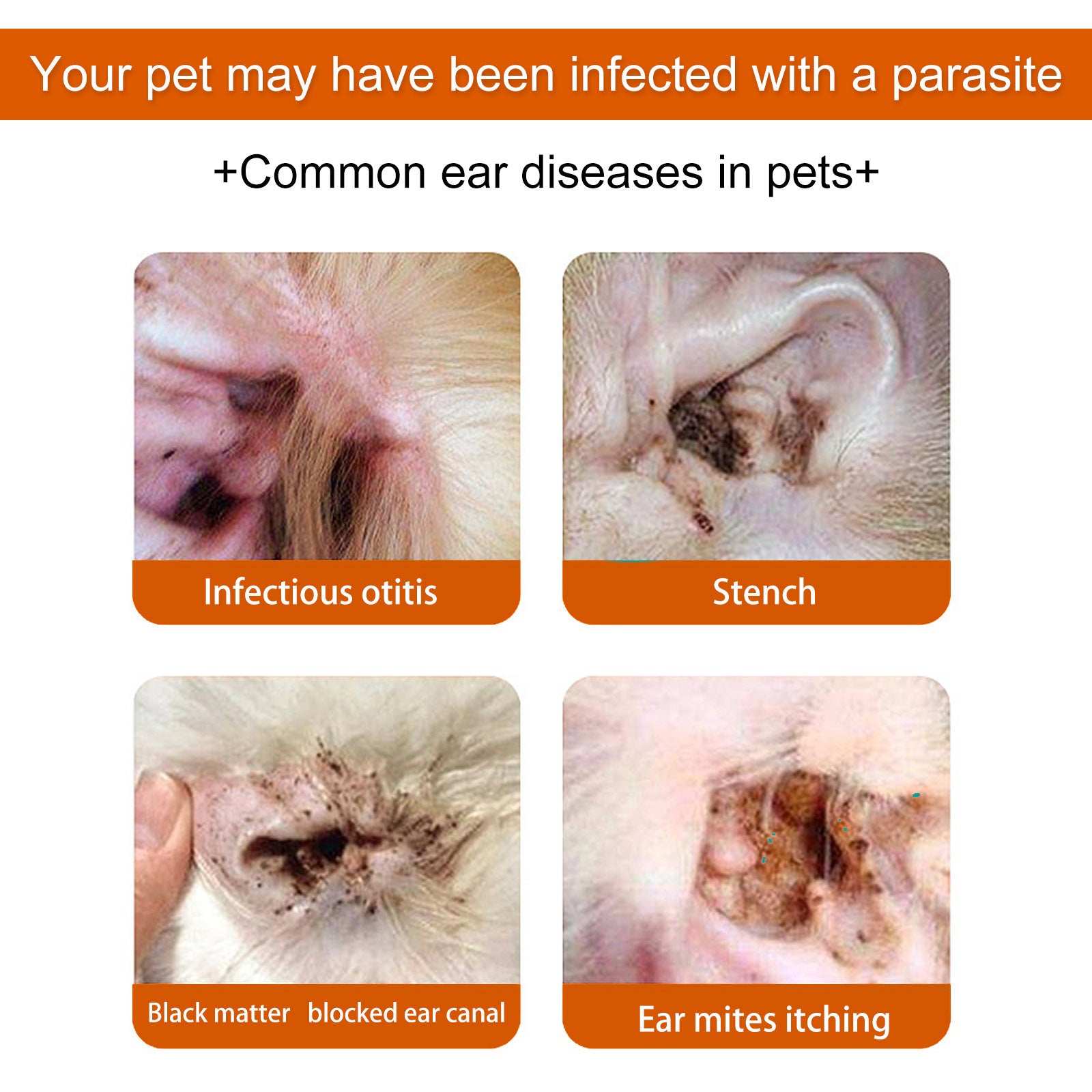 Cat Wipes Gentle Nourishing Cleaning Soft Wipes