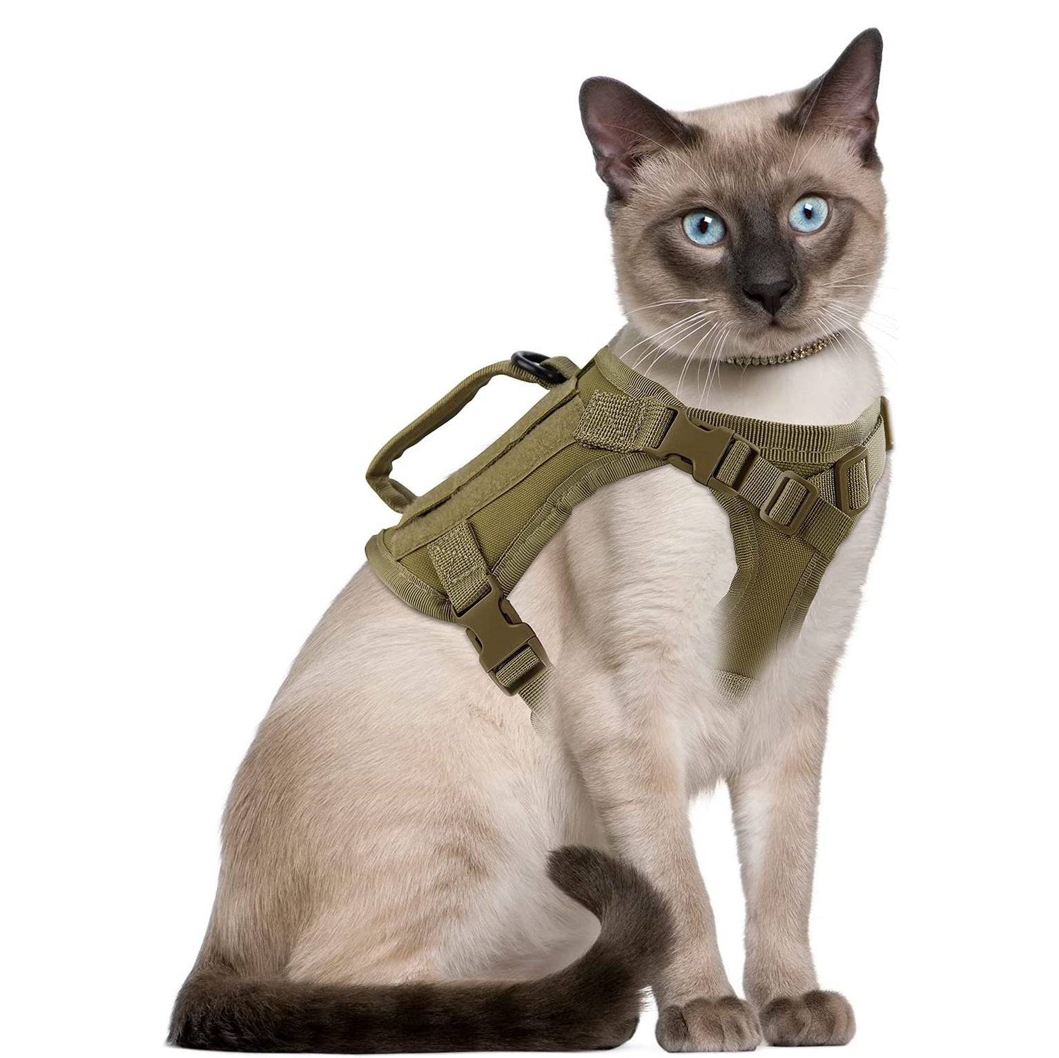 Cat Chest Strap Vest Hand Holding Rope