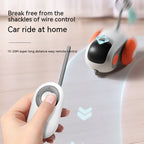 Electronic Cat Toys Are Here That Charge with  One Click of its USB and Add On Feathers and Any Strings And More